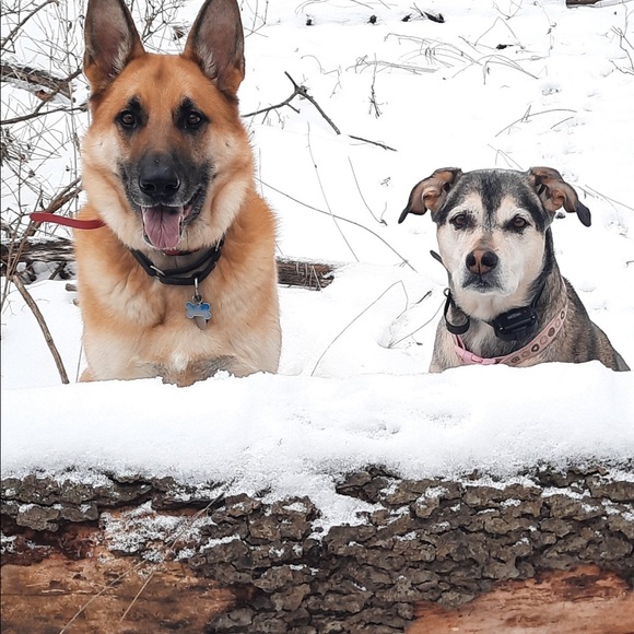 THANK YOU_ Rest in peace my love - Picture 5 of 12